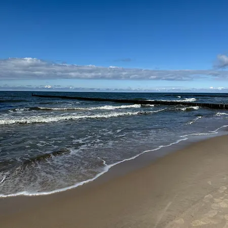 Rubin By Eleganckie Daire Sianozety